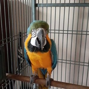 Meet your Posher, Jeffrey